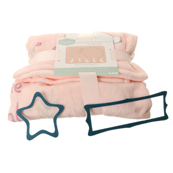 Bunnies Milestone Blanket