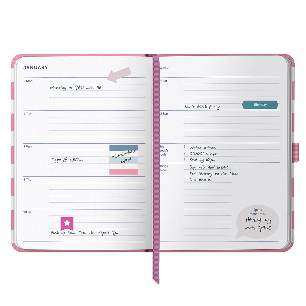 Busy B Goals Diary 2025