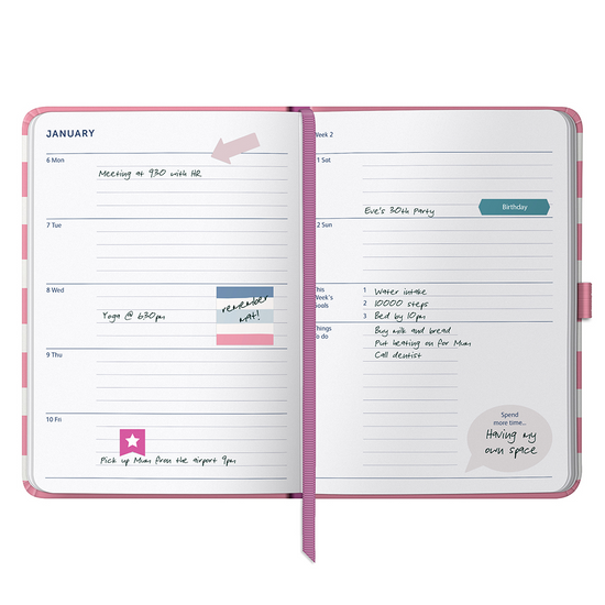 Busy B Goals Diary 2025