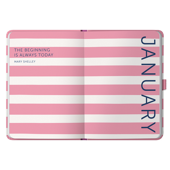 Busy B Goals Diary 2025