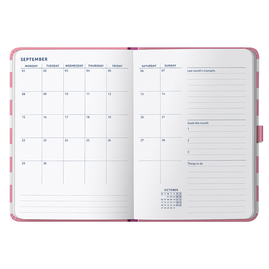 Busy B Goals Diary 2025