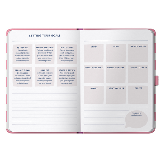 Busy B Goals Diary 2025