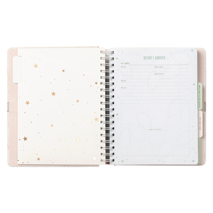 Busy B Baby Journal Pink