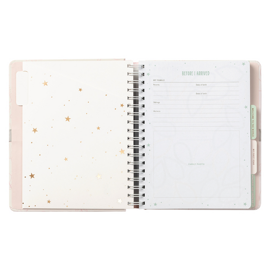 Busy B Baby Journal Pink