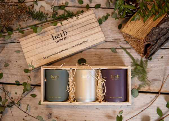 Herb Dublin Christmas Trio Candle Gift Set
