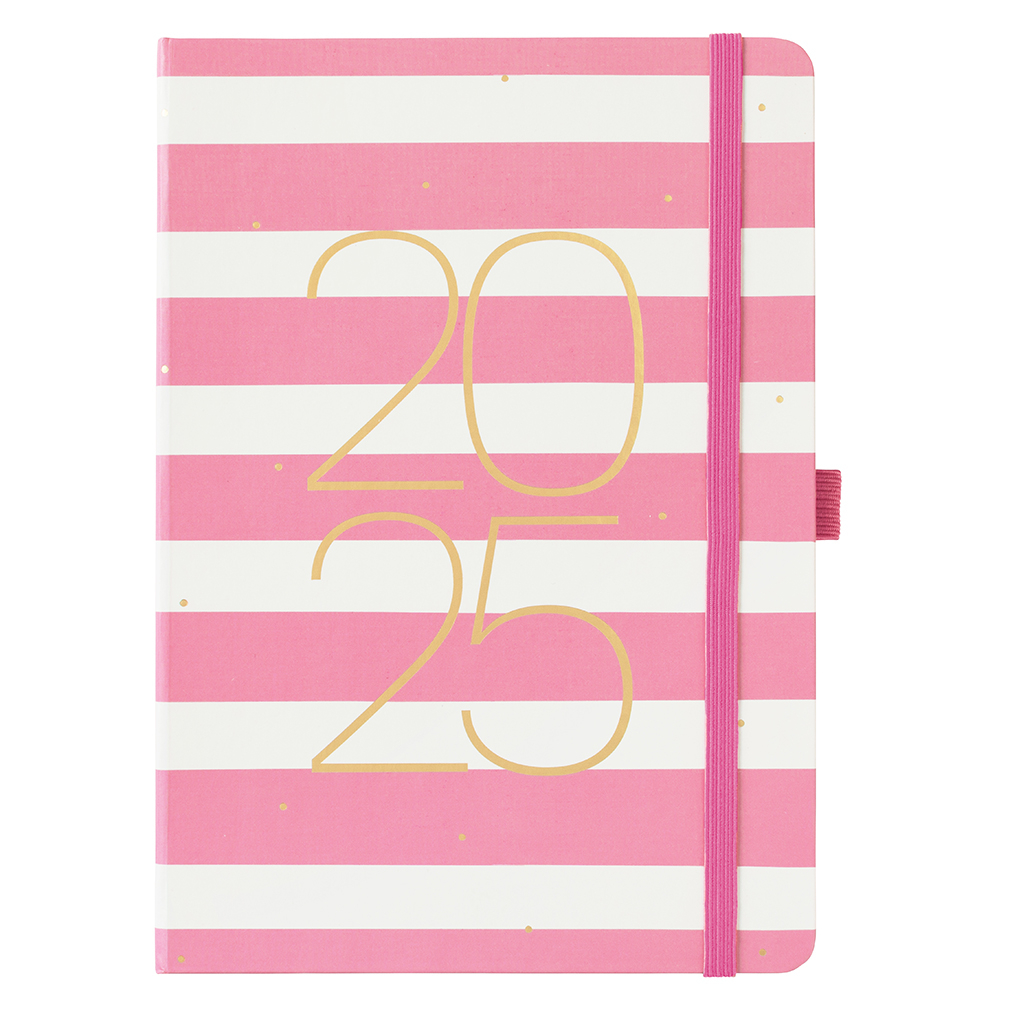 Busy B Goals Diary 2025