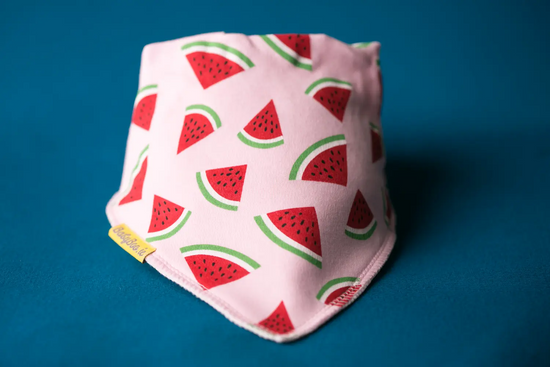 BabyBoo Summer Watermelons Organic Cotton Bib