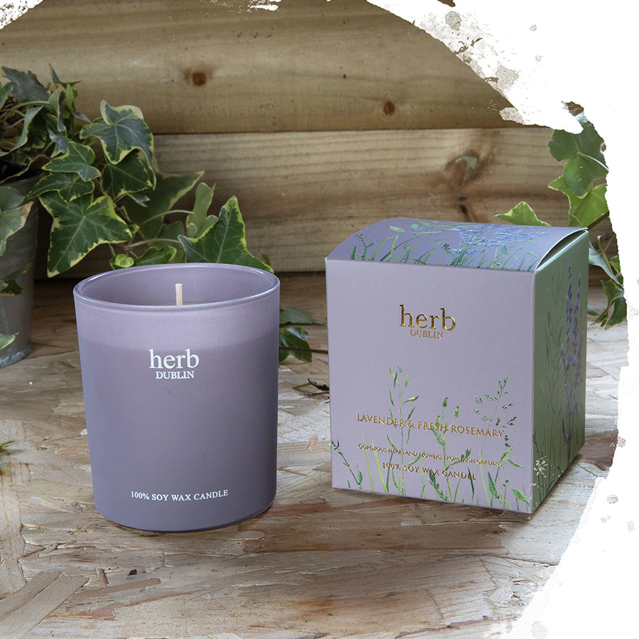 Herb Dublin Lavender boxed Candle