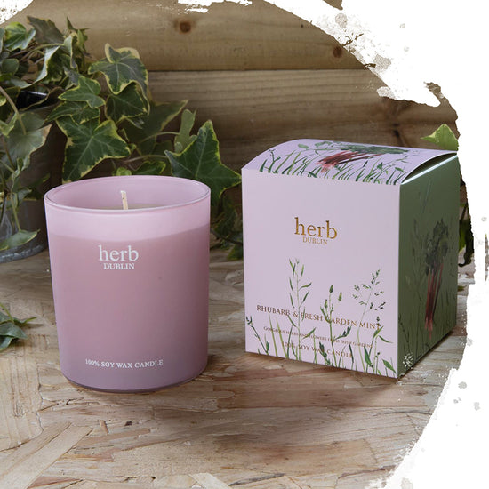 Herb Dublin Rhubarb Boxed Candle