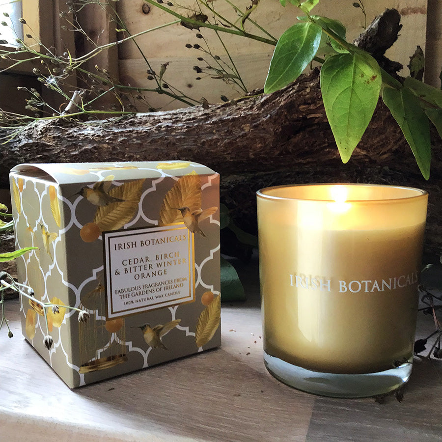 irish-botanicals-cedar-birch-and-bitter-winter-orange-candle